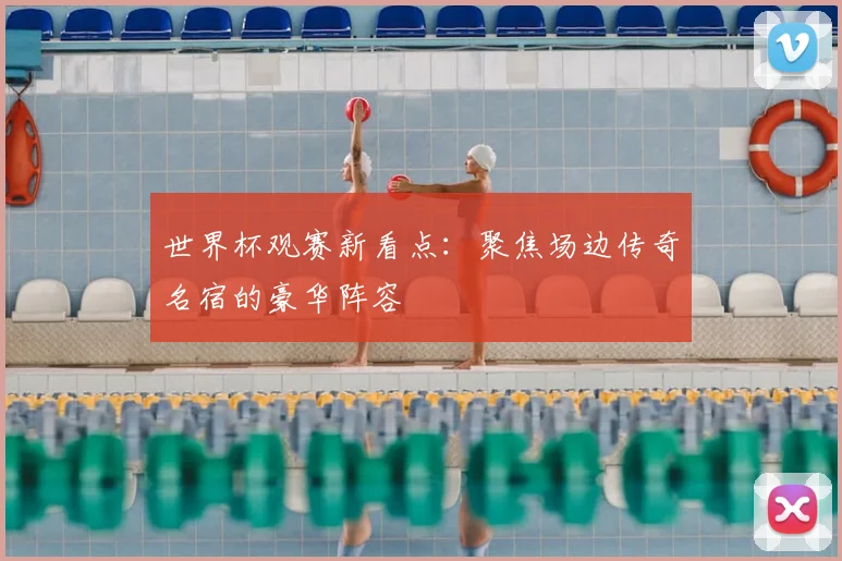 世界杯观赛新看点：聚焦场边传奇名宿的豪华阵容